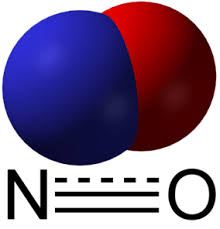 NO nitric oxide