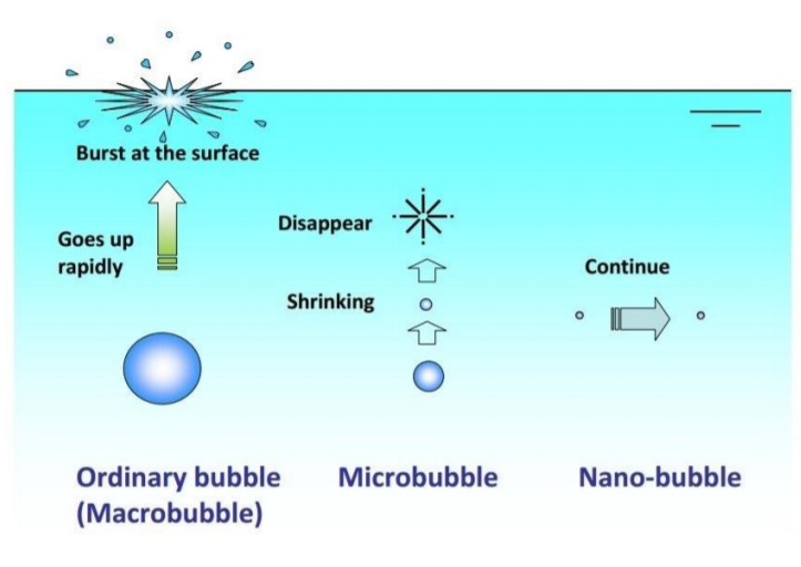 naneau oxygen-nanobubbles